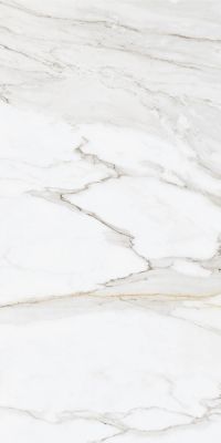 Gold Calacatta 60*120