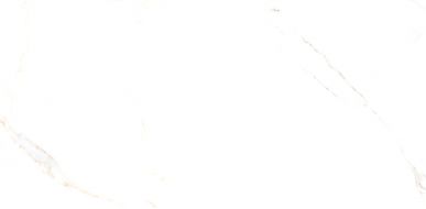 Golden Statuario полированный 60x120 