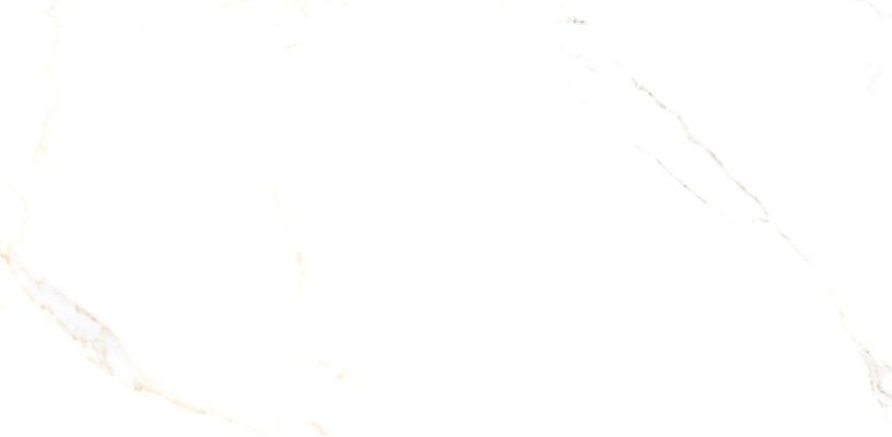 Golden Statuario полированный 60x120 