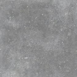 Granite Gloria Gray / Граните Глория Серый SR 60x60
