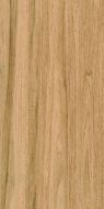Greenwood Great Matt 60x120