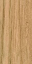 Greenwood Great Matt 60x120