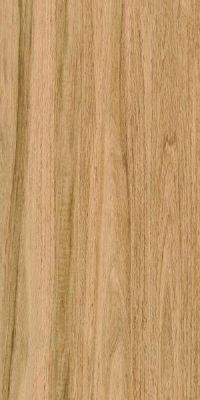 Greenwood Great Matt 60x120