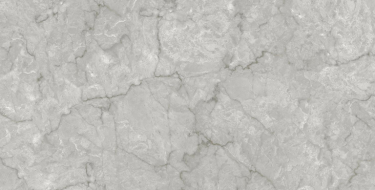 Grey Marble Pol. 60x120