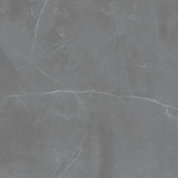 Grey Pulpis SAT 59,8x59,8