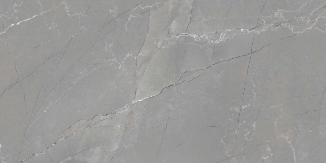 HARVEST GREY GLOSSY 60x120