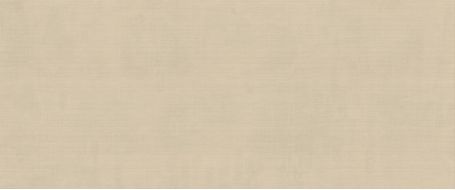 HCDR Плитка Vest Ecru Matt 50x120