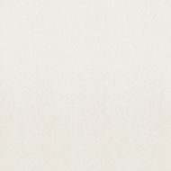 Hall Ivory 60x60