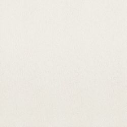 Hall Ivory 60x60