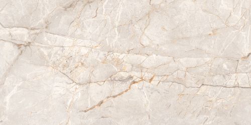 Harmony Gris Carving 60x120