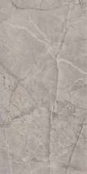 Harmony Gris Glossy 60x120