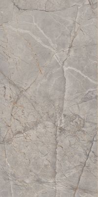 Harmony Gris Glossy 60x120
