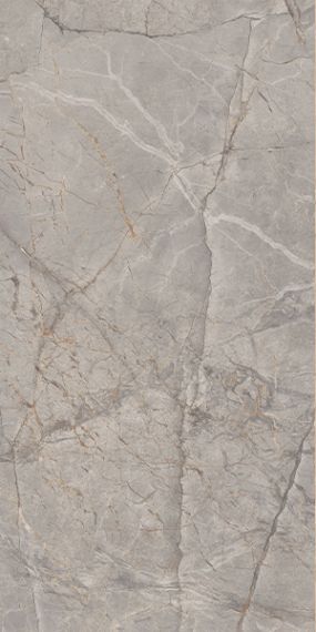 Harmony Gris Glossy 60x120