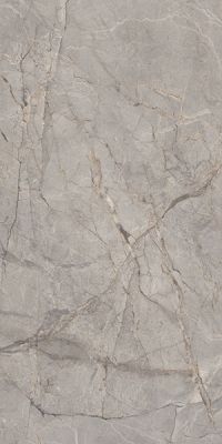 Harmony Gris Lapato 60x120