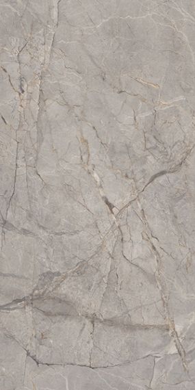 Harmony Gris Lapato 60x120