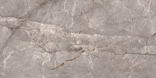 Harmony Taupe Carving 60x120