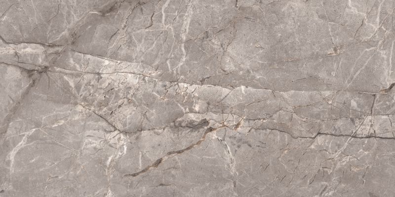 Harmony Taupe Carving 60x120