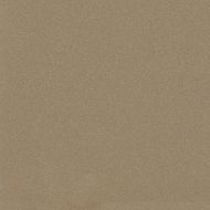 Helton Natural Pulido Rect 120*120