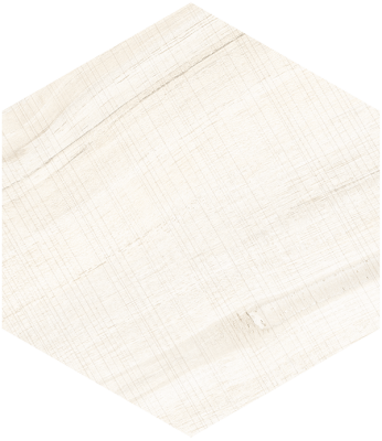 Hexagono Gamma Blanco 23x26.6