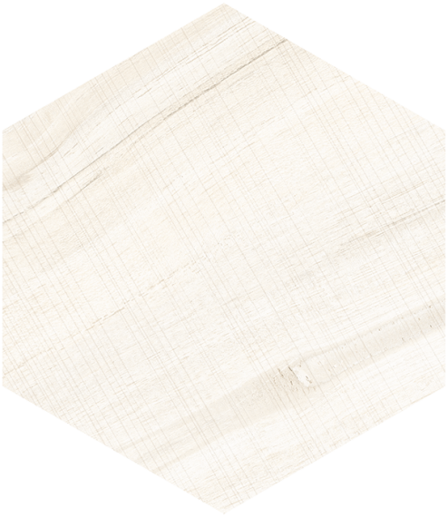 Hexagono Gamma Blanco 23x26.6