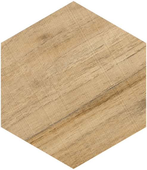Hexagono Gamma Miel 23x26.6