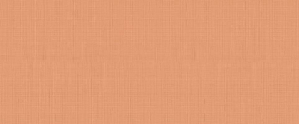 I364 Lilysuite Orange 50x120