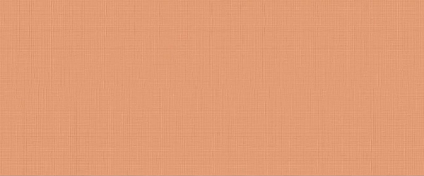 I364 Lilysuite Orange 50x120