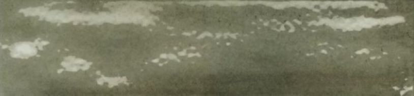 I851 Multiforme Giada 7.5х30