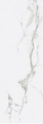 ICEBERG 29x84
