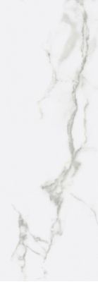ICEBERG 29x84