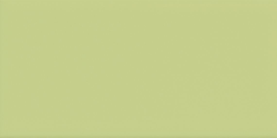 ICONA 1020VO Verde Oasi 10x20
