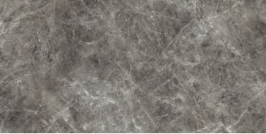 IMM 12RT Visone Grigio Nat 60x120