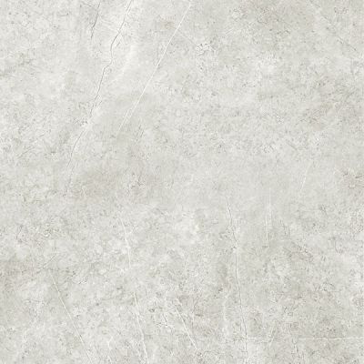 IMP 10RT LONDON GREY SILK 60x60