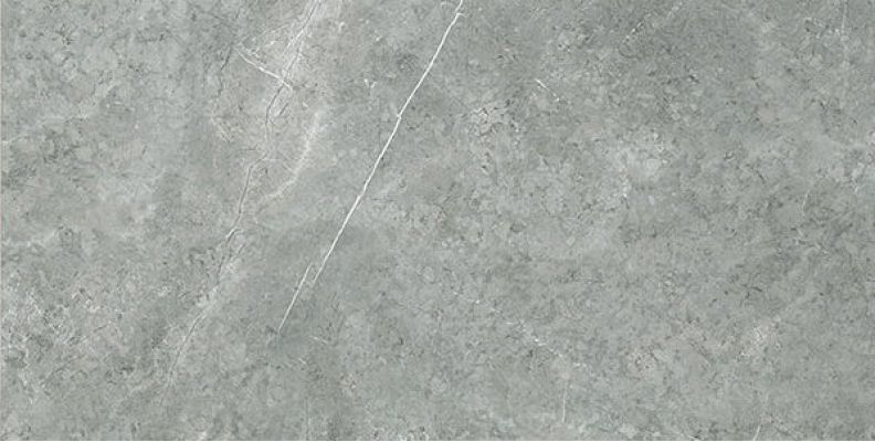 IMP 22RT GRIGIO IMPERIALE SILK 60X120