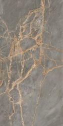 IN01 Intense Grey Полированный 60x120х10
