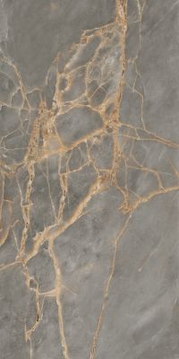IN01 Intense Grey Полированный 60x120х9