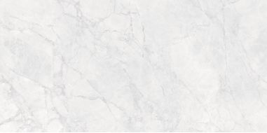 Iberia Bianco Carving Satin 60x120