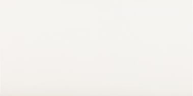 Ice White Mate Rectificado 60x120