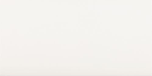 Ice White Mate Rectificado 60x120
