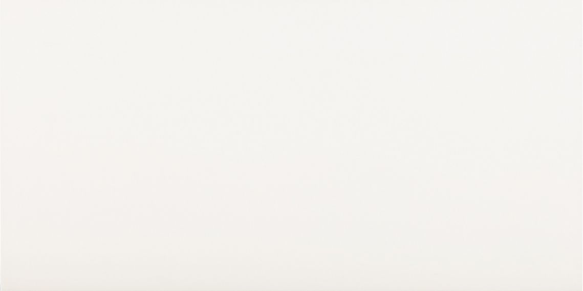 Ice White Mate Rectificado 60x120