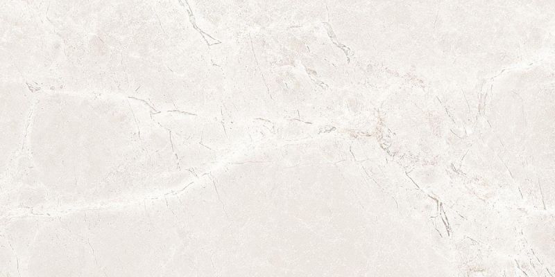 Iconic Dew Matt 60x120