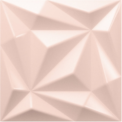 Iggy Nora Pink 15x15