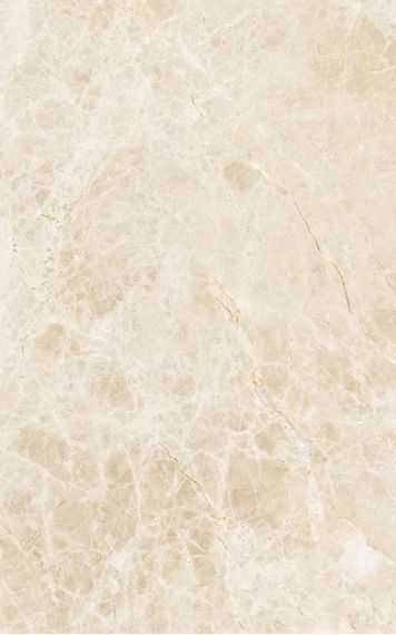 Illyria beige 09-00-20-395 25х40