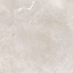 Imagine Beige 60x60