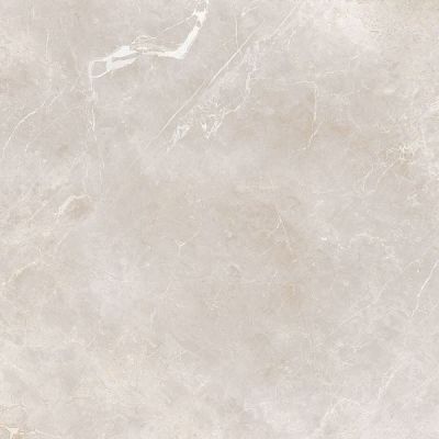Imagine Beige 60x60