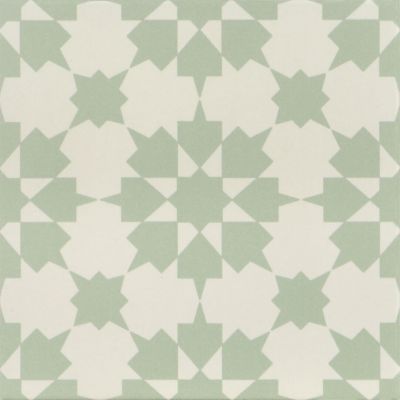 Infusion Ornelas 20x20
