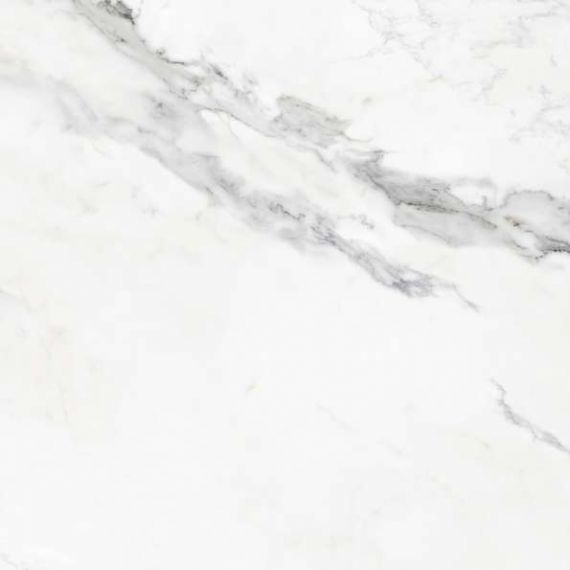 Insignia White Mate 59,5x59,5
