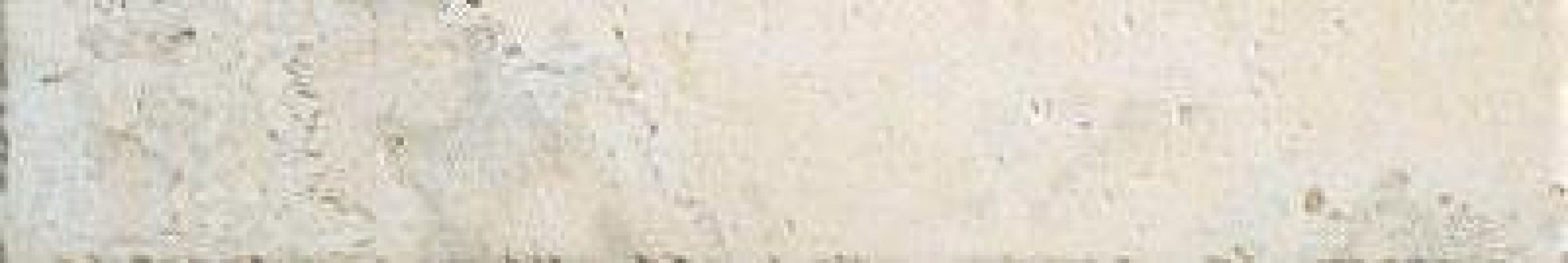 Instone Battiscopa Bone 7,5x30