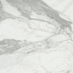 Invictus Natural 120x120