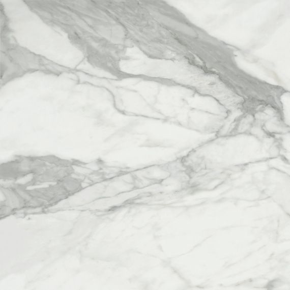 Invictus Natural 120x120